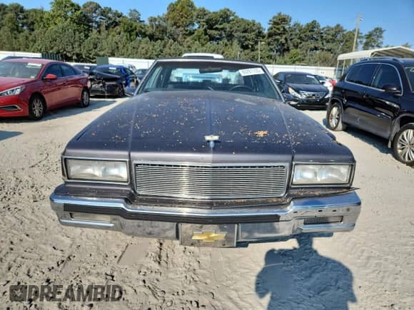 1985 Chevrolet Caprice с VIN 1G1BN69H6FY135833, выставлен на аукционе Copart как лот 80281155 с пробегом 2 381 миль миль и Списание • Salvage title. История ставок и продаж доступна на DreamBid. Изображение 5.