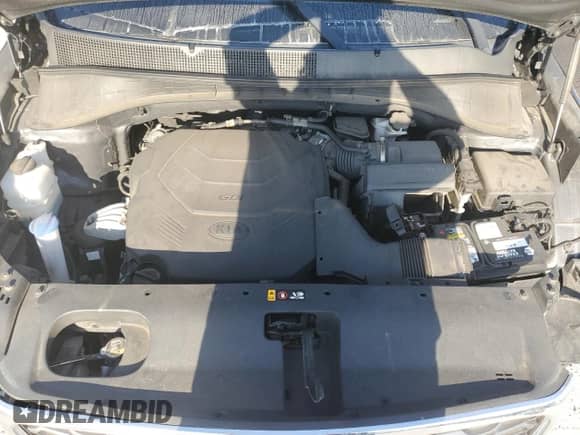 2019 Kia Sorento EX with VIN 5XYPH4A59KG518534, listed as a Copart auction lot 70863695 with 46,483 mi miles and Clean title. Bid and sale history available at DreamBid. Image 12.