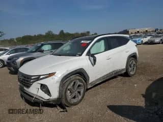 2022 Hyundai Tucson SEL Convenience with VIN KM8JFCA18NU011822, listed as a Copart auction lot 71928955 with Not provided miles and Salvage title. Bid and sale history available at DreamBid. Image 1.