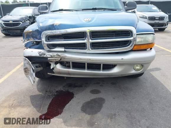 2002 Dodge Durango with VIN 1B4HR58N02F141217, listed as a IAAI auction lot 42028949 with 270,774 mi miles and . Bid and sale history available at DreamBid. Image 6.