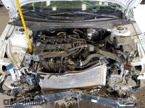 2025 Hyundai Elantra Limited z VIN KMHLP4DG4SU026972, wystawiony jako Copart lot #84915875 z przebiegiem Nie podano mil oraz Szkoda całkowita • Salvage title. Historia ofert i sprzedaży dostępna na DreamBid. Obrazek 11.