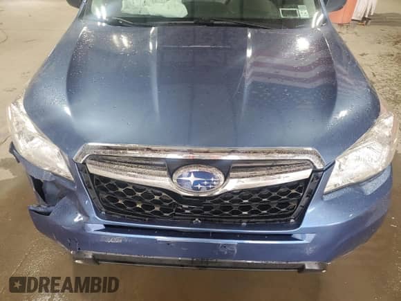 2016 Subaru Forester 2.5i with VIN JF2SJABC9GH502294, listed as a Copart auction lot 85383895 with 114,333 mi miles and Salvage title. Bid and sale history available at DreamBid. Image 12.