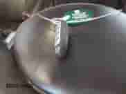 2017 Nissan Murano S z VIN 5N1AZ2MH7HN147738, wystawiony jako IAAI lot #43085511 z przebiegiem 176 713 mil mil oraz . Historia ofert i sprzedaży dostępna na DreamBid. Obrazek 11.