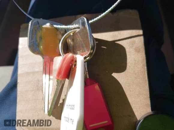 1994 Toyota Camry LE с VIN JT2SK12E0R0208645, выставлен на аукционе IAAI как лот 42116373 с пробегом 170 405 миль миль и . История ставок и продаж доступна на DreamBid. Изображение 11.