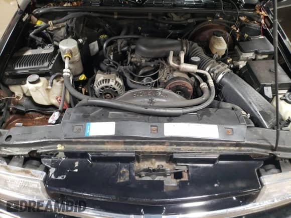 1998 Chevrolet Blazer LT z VIN 1GNDT13W3W2226889, wystawiony jako Copart lot #86559424 z przebiegiem 170 380 mil mil oraz Szkoda całkowita • Salvage title. Historia ofert i sprzedaży dostępna na DreamBid. Obrazek 11.