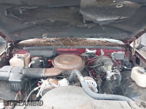 1994 GMC Sierra 1500 с VIN 2GTEK19K0R1559706, выставлен на аукционе IAAI как лот 41906905 с пробегом 236 787 миль миль и . История ставок и продаж доступна на DreamBid. Изображение 10.