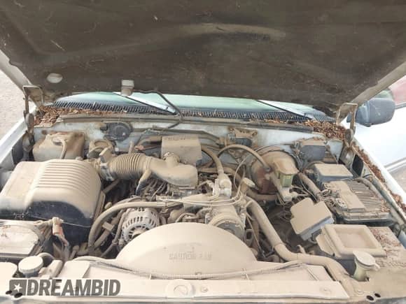 1996 Chevrolet Suburban with VIN 3GNEC16R6TG124323, listed as a IAAI auction lot 43479738 with 225,368 mi miles and . Bid and sale history available at DreamBid. Image 10.