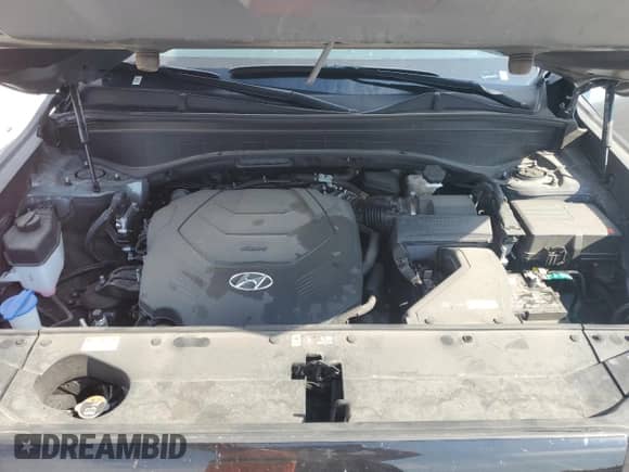 2025 Hyundai Palisade SEL с VIN KM8R2DGE9SU868287, выставлен на аукционе Copart как лот 86677585 с пробегом 28 369 миль миль и Чистый • Clean title. История ставок и продаж доступна на DreamBid. Изображение 12.