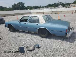 1989 Chevrolet Caprice с VIN 1G1BL51E0KR111677, выставлен на аукционе Copart как лот 66264385 с пробегом 21 920 миль миль и Списание • Salvage title. История ставок и продаж доступна на DreamBid. Изображение 2.