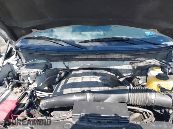 2013 Ford F-150 King Ranch z VIN 1FTFW1ET5DKG15865, wystawiony jako IAAI lot #43314620 z przebiegiem 142 201 mil mil oraz . Historia ofert i sprzedaży dostępna na DreamBid. Obrazek 10.