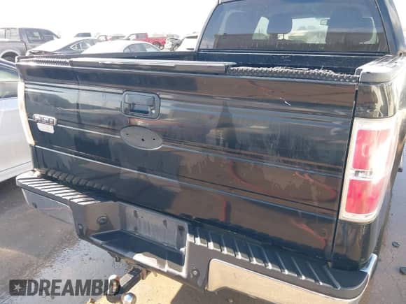 2010 Ford F-150 XL with VIN 1FTEW1C89AFD84502, listed as a IAAI auction lot 43412945 with 281,016 mi miles and . Bid and sale history available at DreamBid. Image 6.