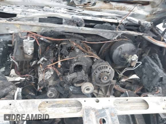 2008 GMC Sierra 1500 Work Truck with VIN 2GTEK13M281239134, listed as a IAAI auction lot 41535863 with Not provided miles and . Bid and sale history available at DreamBid. Image 10.