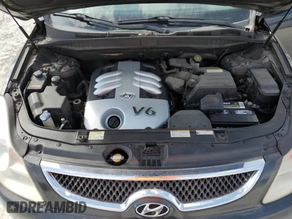 2007 Hyundai Veracruz GLS с VIN KM8NU13C17U019435, выставлен на аукционе Copart как лот 42826955 с пробегом 230 635 миль миль и Списание • Salvage title. История ставок и продаж доступна на DreamBid. Изображение 11.