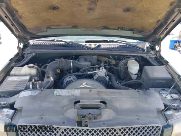 2003 Chevrolet Silverado 1500 Work Truck with VIN 1GCEC14X03Z200869, listed as a IAAI auction lot 42305062 with 193,214 mi miles and . Bid and sale history available at DreamBid. Image 10.