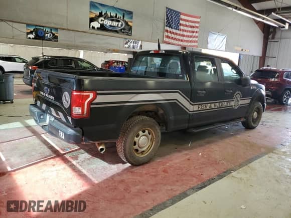 2017 Ford F-150 XL with VIN 1FTFW1EG4HFA88449, listed as a Copart auction lot 82377905 with 195,200 mi miles and Clean title. Bid and sale history available at DreamBid. Image 3.