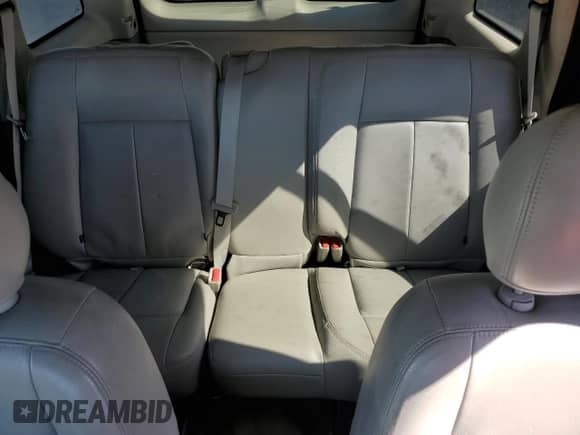 2007 Chevrolet TrailBlazer LT z VIN 1GNDS13S972300754, wystawiony jako Copart lot #44422995 z przebiegiem 145 178 mil mil oraz Szkoda całkowita • Salvage title. Historia ofert i sprzedaży dostępna na DreamBid. Obrazek 10.