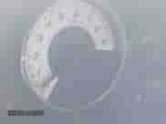 2014 Scion FR-S z VIN JF1ZNAA15E9710204, wystawiony jako IAAI lot #42731827 z przebiegiem Nie podano mil oraz . Historia ofert i sprzedaży dostępna na DreamBid. Obrazek 14.