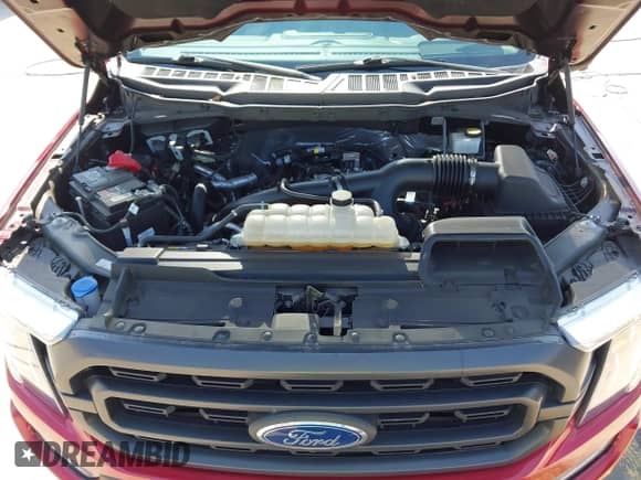 2022 Ford F-150 XL с VIN 1FTEW1EP8NKF10172, выставлен на аукционе IAAI как лот 43238678 с пробегом 41 419 миль миль и . История ставок и продаж доступна на DreamBid. Изображение 10.