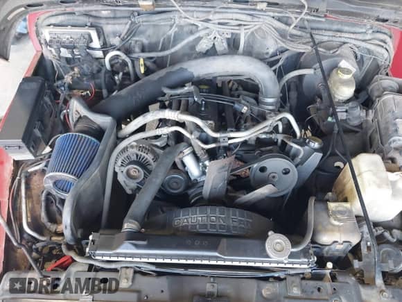 2000 Jeep Wrangler Sport z VIN 1J4FA49S9YP731865, wystawiony jako IAAI lot #43035939 z przebiegiem 221 606 mil mil oraz . Historia ofert i sprzedaży dostępna na DreamBid. Obrazek 10.