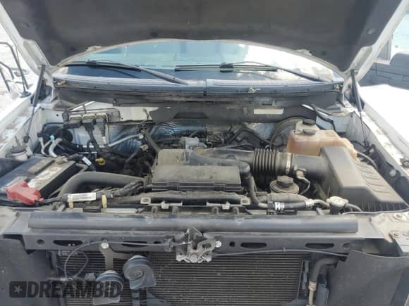2009 Ford F-150 XL with VIN 1FTRF14W59KB31694, listed as a Copart auction lot 63646015 with 208,958 mi miles and Salvage title. Bid and sale history available at DreamBid. Image 11.