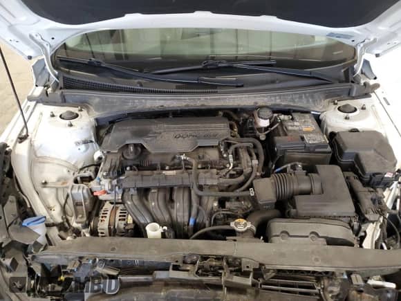 2022 Hyundai Elantra Limited z VIN 5NPLP4AG2NH072257, wystawiony jako Copart lot #80899675 z przebiegiem 55 110 mil mil oraz Szkoda całkowita • Salvage title. Historia ofert i sprzedaży dostępna na DreamBid. Obrazek 11.