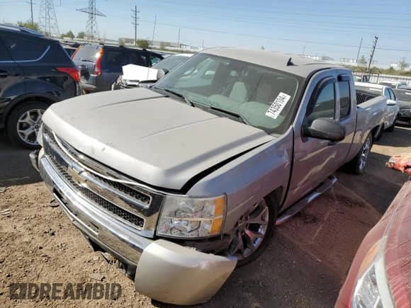 2009 Chevrolet Silverado 1500 LS with VIN 1GCEK19C09Z257123, listed as a Copart auction lot 74350104 with Not provided miles and Salvage title. Bid and sale history available at DreamBid. Image 1.