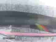 2005 Toyota Corolla CE с VIN 1NXBR32E95Z562953, выставлен на аукционе IAAI как лот 41672674 с пробегом Не указан миль и . История ставок и продаж доступна на DreamBid. Изображение 9.