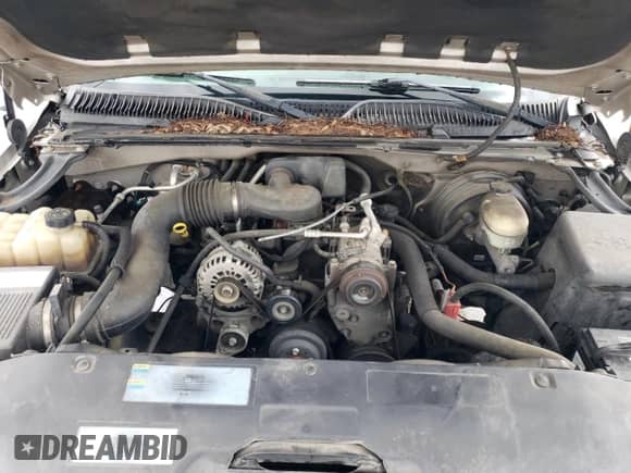 2005 GMC Sierra 1500 Work Truck with VIN 1GTEC14X75Z202248, listed as a Copart auction lot 60821865 with 189,709 mi miles and Clean title. Bid and sale history available at DreamBid. Image 11.