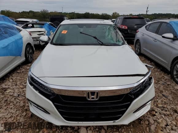 2018 Honda Accord Touring with VIN 1HGCV3F99JA001618, listed as a Copart auction lot 81368735 with Not provided miles and Salvage title. Bid and sale history available at DreamBid. Image 5.