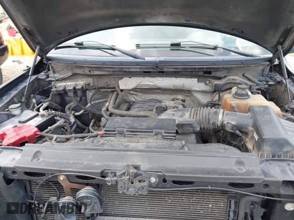 2013 Ford F-150 XL with VIN 1FTFW1EF7DKD98393, listed as a IAAI auction lot 42633082 with 471,450 mi miles and . Bid and sale history available at DreamBid. Image 10.