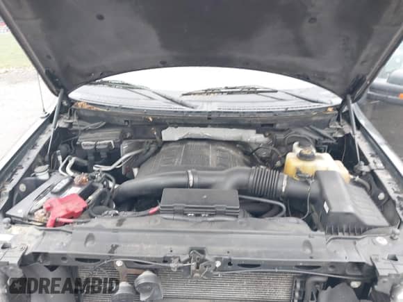 2013 Ford F-150 XL с VIN 1FTFW1ET5DFD78867, выставлен на аукционе IAAI как лот 43344016 с пробегом 252 498 миль миль и . История ставок и продаж доступна на DreamBid. Изображение 10.