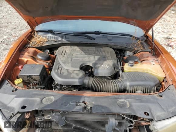 2011 Dodge Charger SE with VIN 2B3CL3CGXBH551695, listed as a Copart auction lot 84271455 with 212,537 mi miles and Salvage title. Bid and sale history available at DreamBid. Image 11.