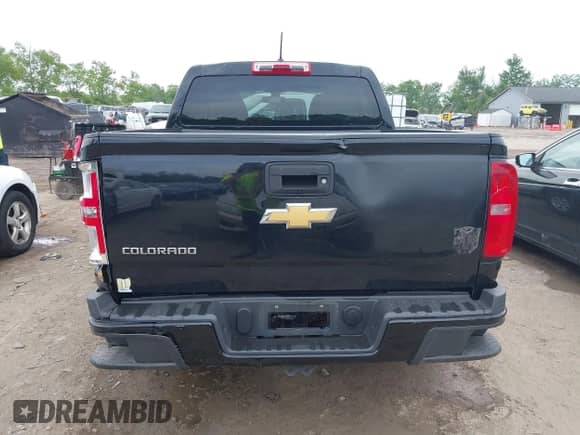 2019 Chevrolet Colorado 2WD Work Truck with VIN 1GCGSBEA3K1132558, listed as a IAAI auction lot 42512694 with 107,127 mi miles and . Bid and sale history available at DreamBid. Image 16.