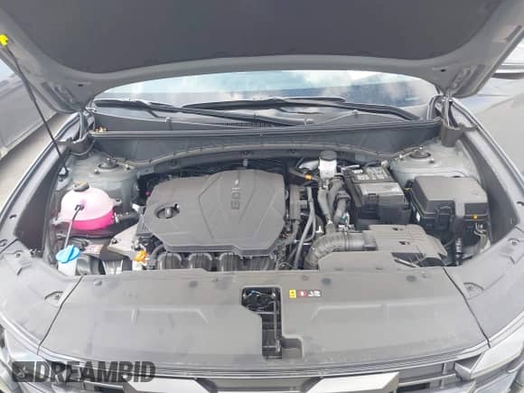 2025 Hyundai Tucson SEL Convenience с VIN 5NMJC3DEXSH522642, выставлен на аукционе IAAI как лот 42841623 с пробегом 1 926 миль миль и . История ставок и продаж доступна на DreamBid. Изображение 10.