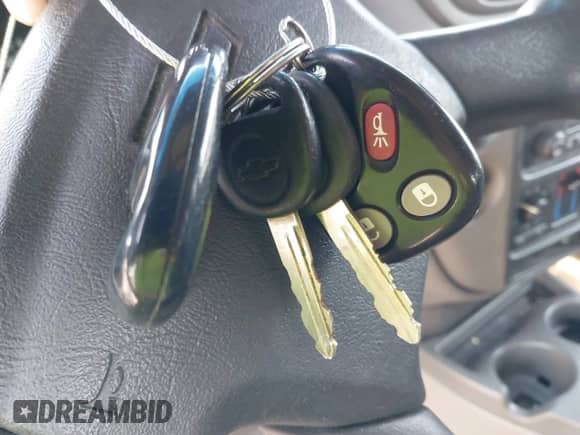 2002 Chevrolet TrailBlazer LS with VIN 1GNDT13S522426504, listed as a IAAI auction lot 41773338 with 260,444 mi miles and . Bid and sale history available at DreamBid. Image 11.