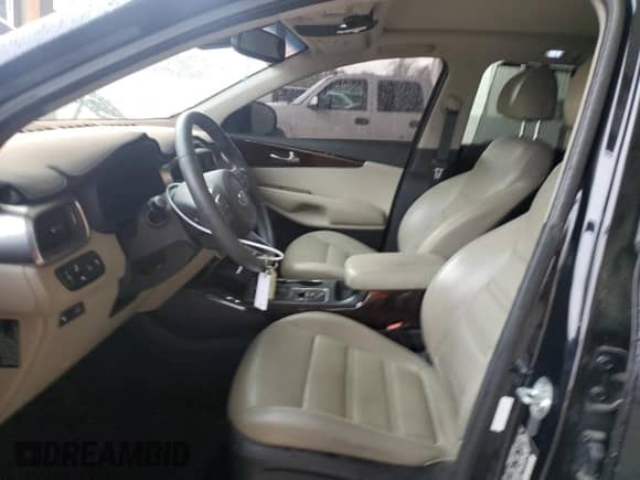 2018 Kia Sorento EX with VIN 5XYPH4A14JG387007, listed as a Copart auction lot 50230915 with 113,433 mi miles and Salvage title. Bid and sale history available at DreamBid. Image 7.