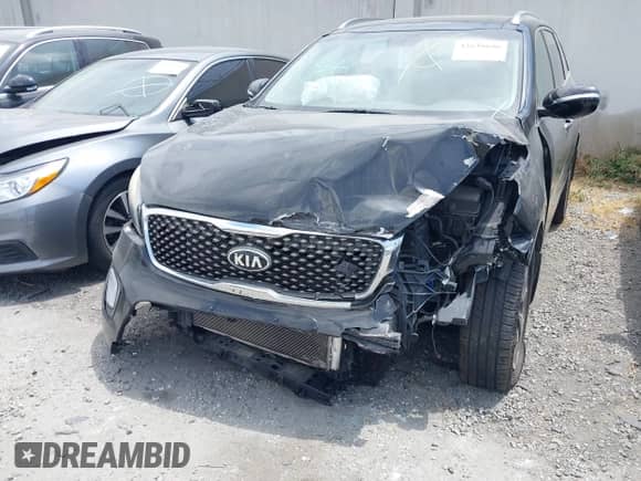 2016 Kia Sorento SXL with VIN 5XYPK4A53GG033928, listed as a IAAI auction lot 42639686 with 42,454 mi miles and . Bid and sale history available at DreamBid. Image 13.