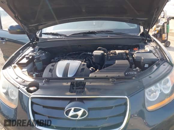 2010 Hyundai Santa Fe SE с VIN 5NMSH4AG8AH341247, выставлен на аукционе IAAI как лот 43197414 с пробегом 141 115 миль миль и . История ставок и продаж доступна на DreamBid. Изображение 10.