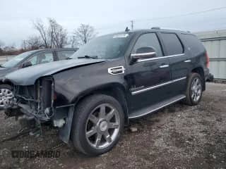 2010 Cadillac Escalade with VIN 1GYUKEEJ7AR178540, listed as a Copart auction lot 84023174 with 217,319 mi miles and Salvage title. Bid and sale history available at DreamBid. Image 1.