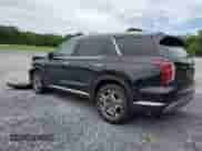 2025 Hyundai Palisade SEL Premium with VIN KM8R44GEXSU916258, listed as a Copart auction lot 61736175 with 7,399 mi miles and Salvage title. Bid and sale history available at DreamBid. Image 2.