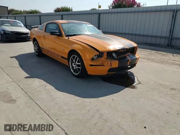 2008 Ford Mustang GT Deluxe with VIN 1ZVHT82H985138661, listed as a Copart auction lot 81414165 with 97,023 mi miles and Salvage title. Bid and sale history available at DreamBid. Image 13.