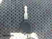 2000 Dodge 1500 z VIN 3B7HF13Z3YM242890, wystawiony jako IAAI lot #42912432 z przebiegiem 184 590 mil mil oraz . Historia ofert i sprzedaży dostępna na DreamBid. Obrazek 11.