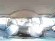 2014 Honda Pilot EX-L with VIN 5FNYF4H56EB015832, listed as a Copart auction lot 81958215 with 231,558 mi miles and Salvage title. Bid and sale history available at DreamBid. Image 15.