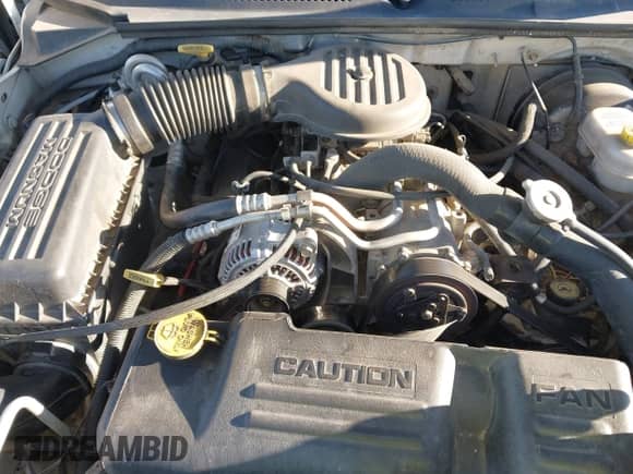 2003 Dodge Dakota with VIN 1D7HG48X13S259876, listed as a IAAI auction lot 43448159 with 197,823 mi miles and . Bid and sale history available at DreamBid. Image 10.