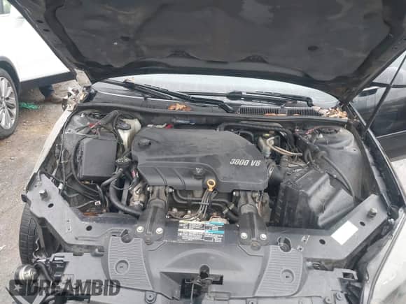 2009 Chevrolet Impala Police Police with VIN 2G1WS57M691253263, listed as a IAAI auction lot 41103398 with 144,247 mi miles and . Bid and sale history available at DreamBid. Image 10.