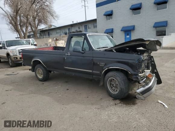 1995 Ford F-150 with VIN 1FTDF15Y7SLB98968, listed as a Copart auction lot 49766385 with 359,514 mi miles and Salvage title. Bid and sale history available at DreamBid. Image 4.