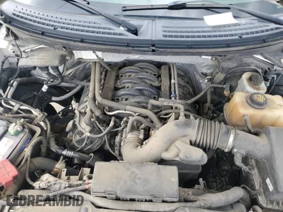 2012 Ford F-150 FX4 z VIN 1FTFW1EF7CFA29024, wystawiony jako Copart lot #81741775 z przebiegiem 214 080 mil mil oraz Szkoda całkowita • Salvage title. Historia ofert i sprzedaży dostępna na DreamBid. Obrazek 11.