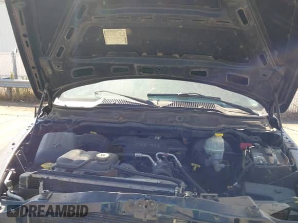 2003 Dodge 1500 ST z VIN 1D7HA18D43S219474, wystawiony jako IAAI lot #43258542 z przebiegiem 132 332 mil mil oraz . Historia ofert i sprzedaży dostępna na DreamBid. Obrazek 10.