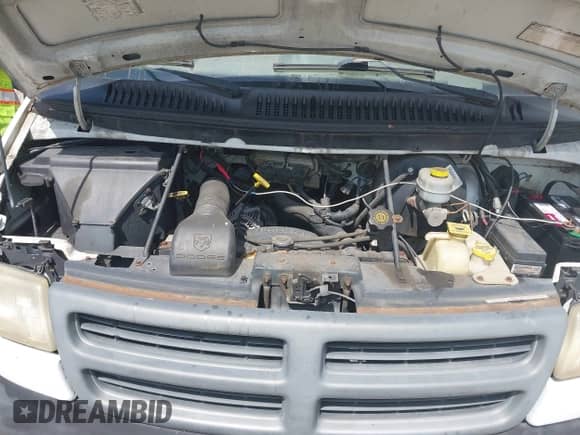 2002 Dodge Cargo with VIN 2B7HB11X52K128184, listed as a IAAI auction lot 42667903 with Not provided miles and . Bid and sale history available at DreamBid. Image 10.