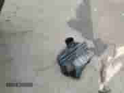 2021 Ram 1500 Big Horn z VIN 1C6SRFMT4MN602776, wystawiony jako Copart lot #49806915 z przebiegiem 59 136 mil mil oraz Szkoda całkowita • Salvage title. Historia ofert i sprzedaży dostępna na DreamBid. Obrazek 12.